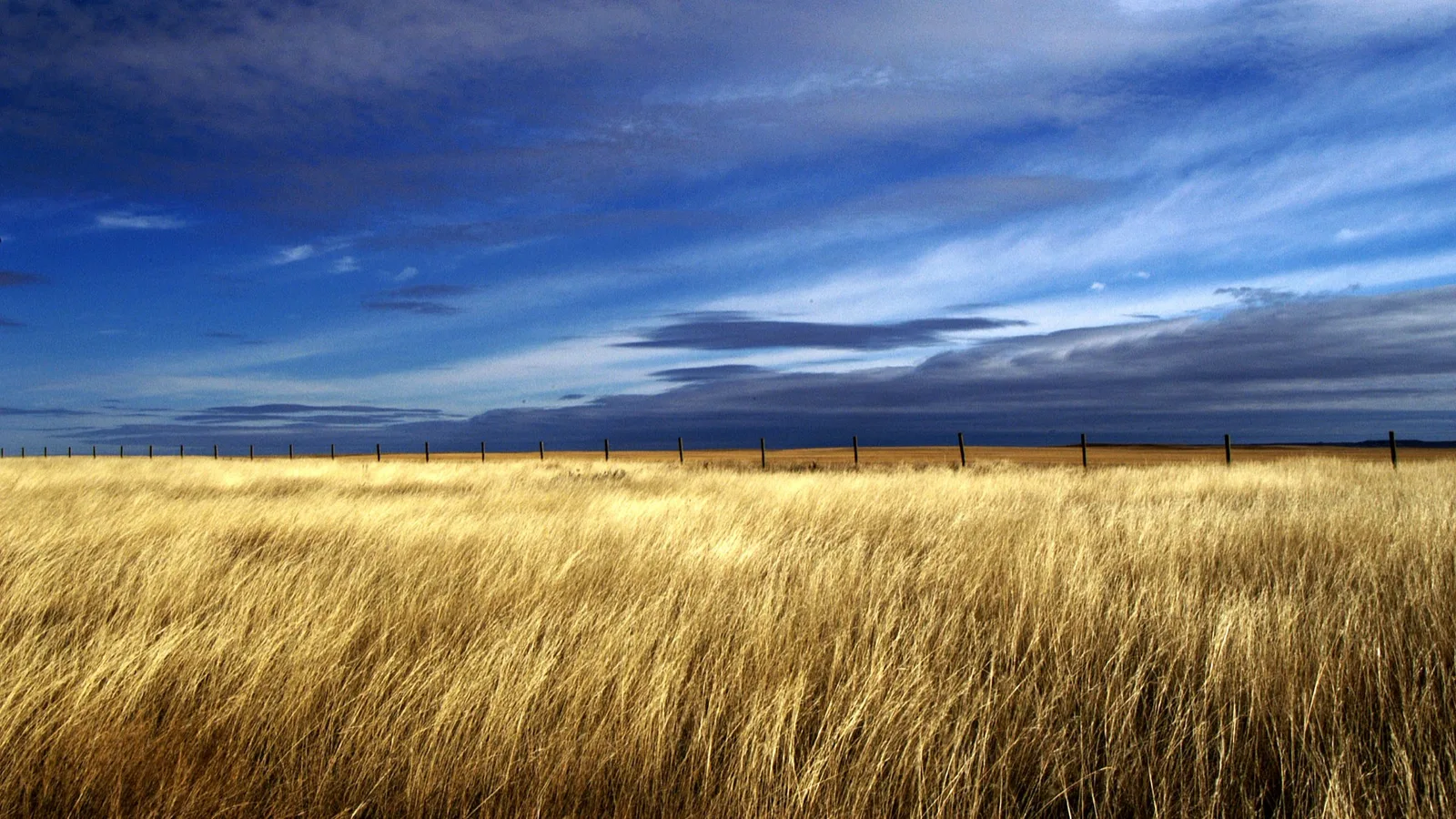 Native prairie grassland under a big prairie sky in southwest Saskatchewan. File photo, not the site of the facility.