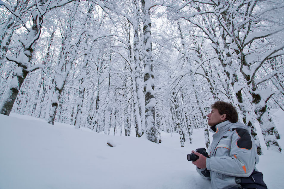 Capturing the Festive Spirit Through the Lens: The Art of Nature Photography – Christmas Edition 